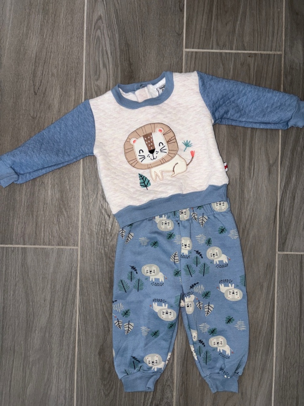 Cozy Blue Lion Pajama Set for Kids